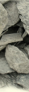 lateral_img04